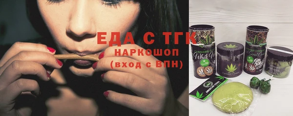 индика Богородск