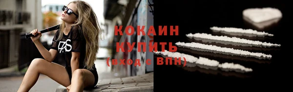 индика Богородск