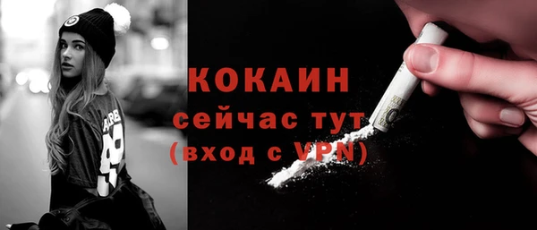 стафф Бородино