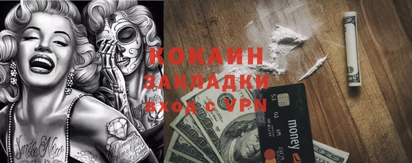индика Богородск