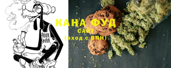 индика Богородск