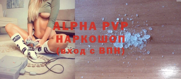стафф Бородино