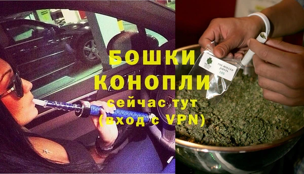стафф Бородино