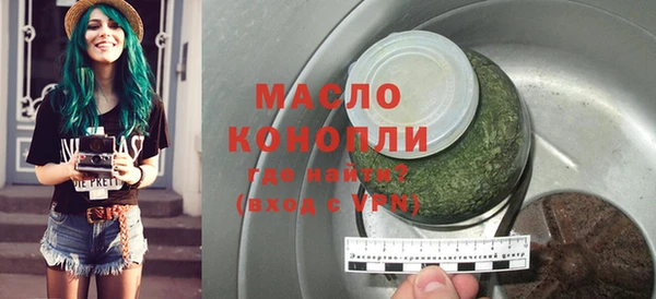 индика Богородск