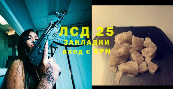 стафф Бородино