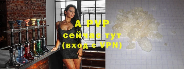 стафф Бородино