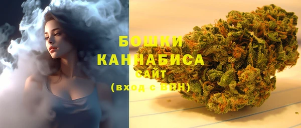 стафф Бородино